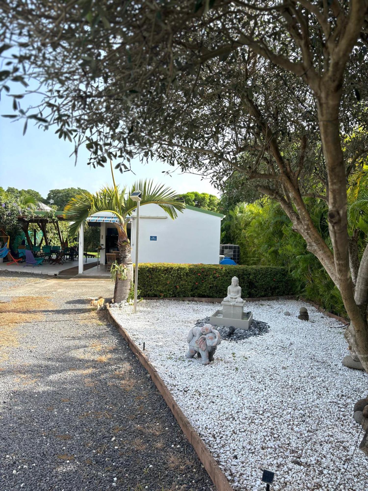 Gite Mabouya - Hamak, Piscine, Jardin Villa Anse-Bertrand Exterior photo